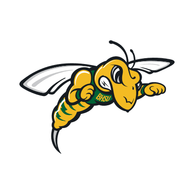 Black Hills State Yellow Jackets logo
