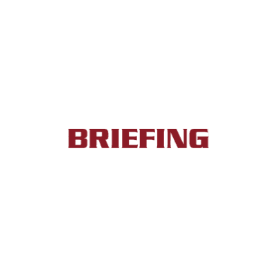 BRIEFING color logo