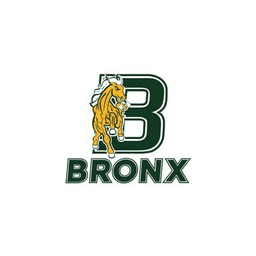 Bronx Broncos