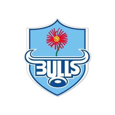Bulls color logo
