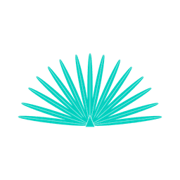 Casamigos