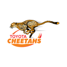 Cheetahs
