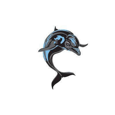 CSI Dolphins color logo