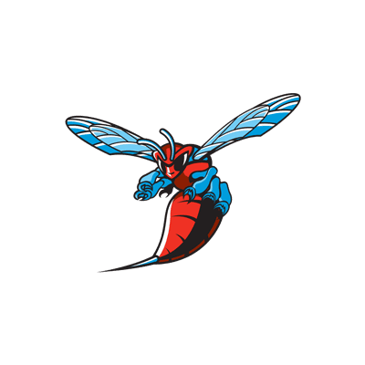 Delaware State Hornets color logo