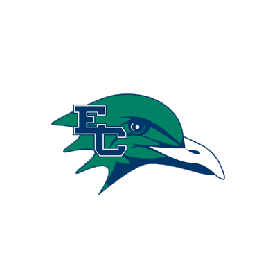 Endicott Gulls color logo