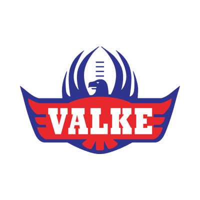 Falcons color logo