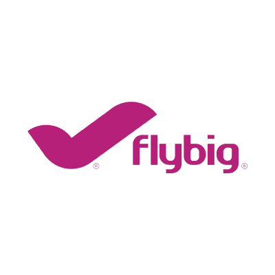 FlyBig color logo