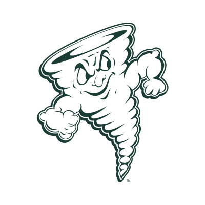 Lake Erie Storm color logo