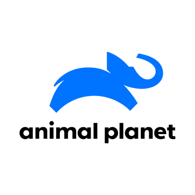 Animal Planet color logo
