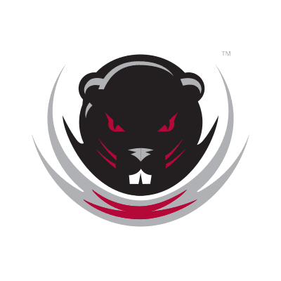 MIT Engineers logo