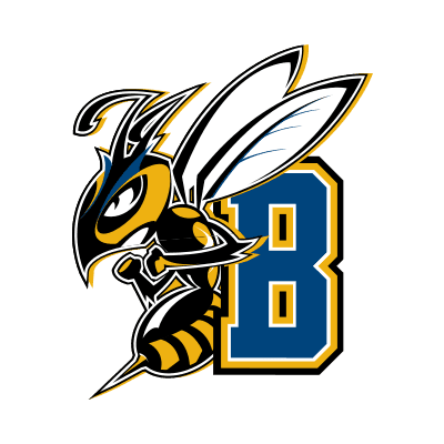 Montana State Billings Yellowjackets color logo