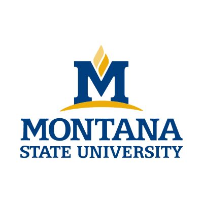 Montana State University color logo