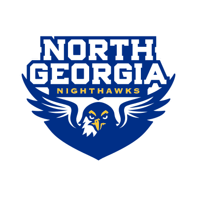 North Georgia Nighthawks logo
