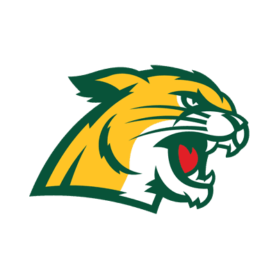 Northern Michigan Wildcats logo