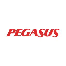 Pegasus Airlines