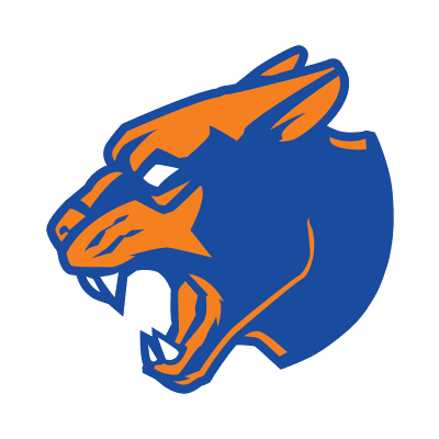 Purchase Panthers color logo