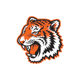 Riverside City Tigers