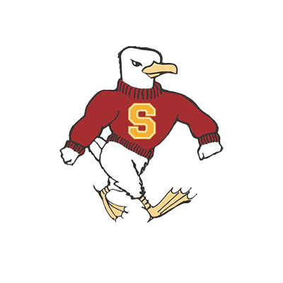 Salisbury Sea Gulls color logo