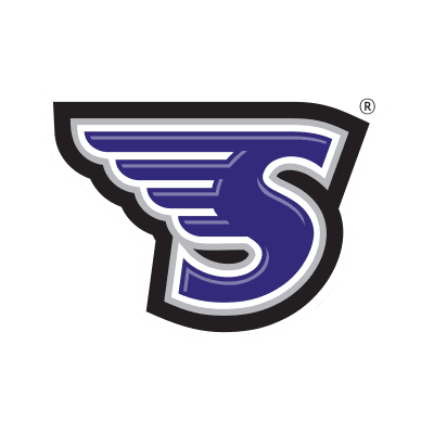 Stonehill Skyhawks color logo