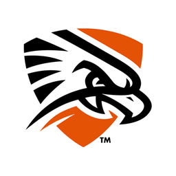 Texas–Permian Basin Falcons