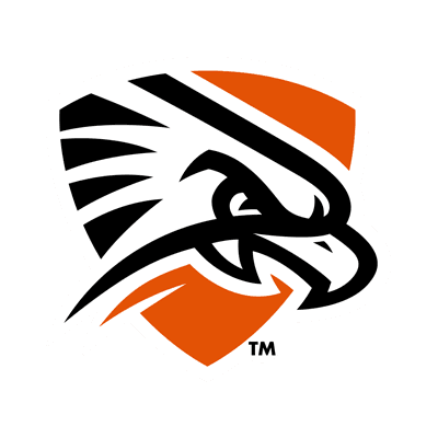 Texas–Permian Basin Falcons color logo
