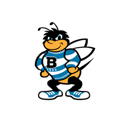 UB Bees