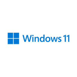 Windows 11