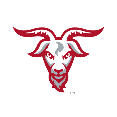 WPI Engineers color logo