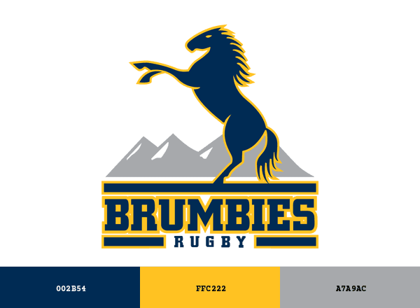 ACT Brumbies brand color palette