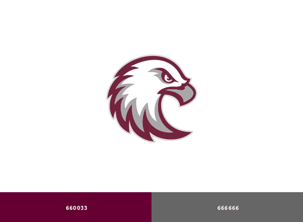 Augsburg University Auggies brand color palette