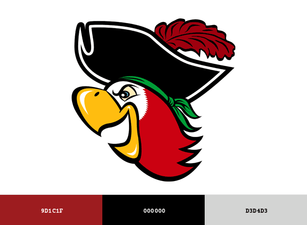 Barry Buccaneers brand color palette