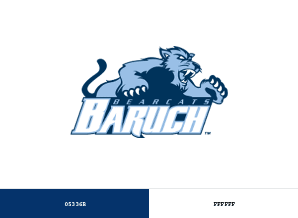 Baruch Bearcats brand color palette