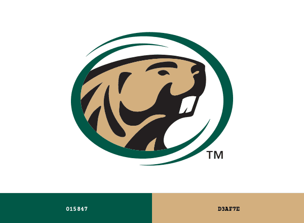 Bemidji State Beavers brand color palette