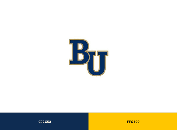 Bethel Royals brand color palette