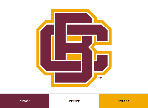 Bethune-Cookman Wildcats brand color palette
