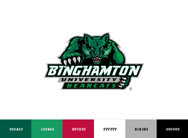 Binghamton Bearcats brand color palette