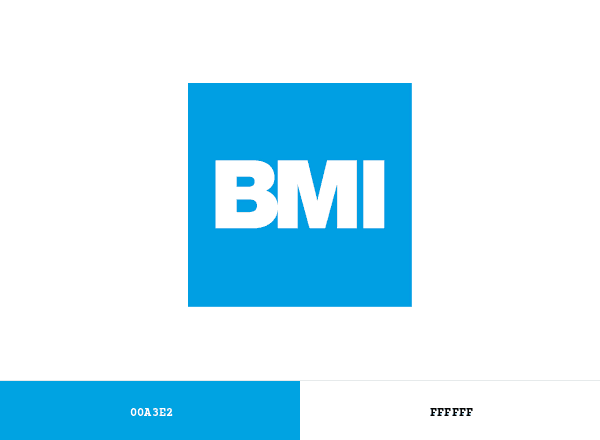 BMI Group brand color palette