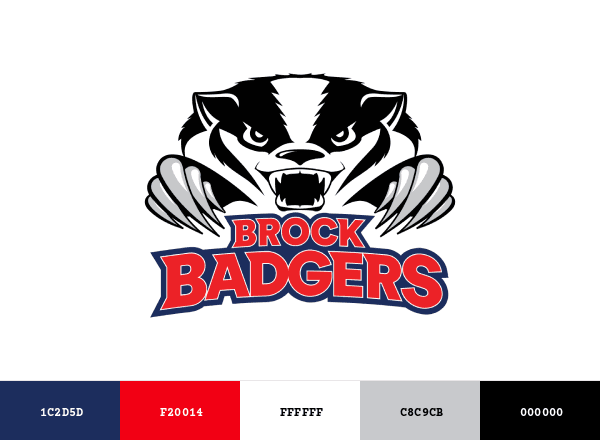 Brock Badgers brand color palette