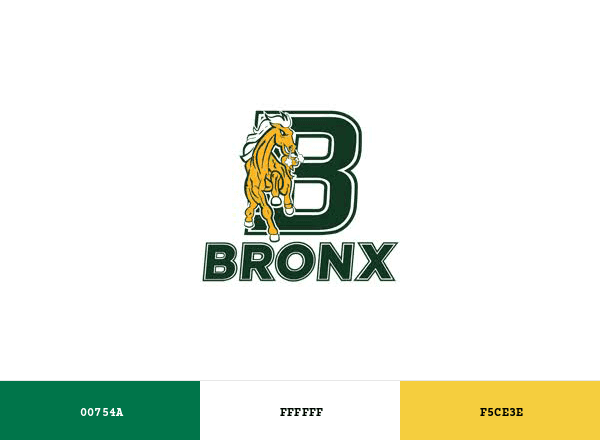 Bronx Broncos brand color palette
