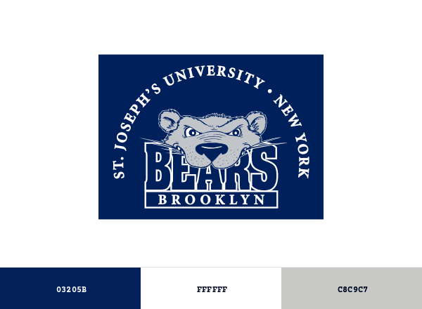Brooklyn Bears brand color palette