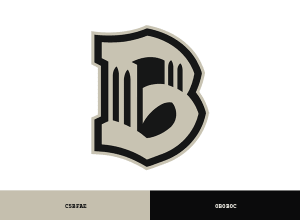 Brooklyn FC brand color palette