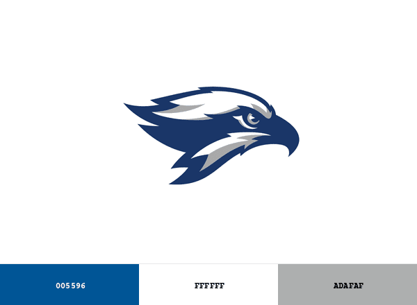 Broward Seahawks brand color palette