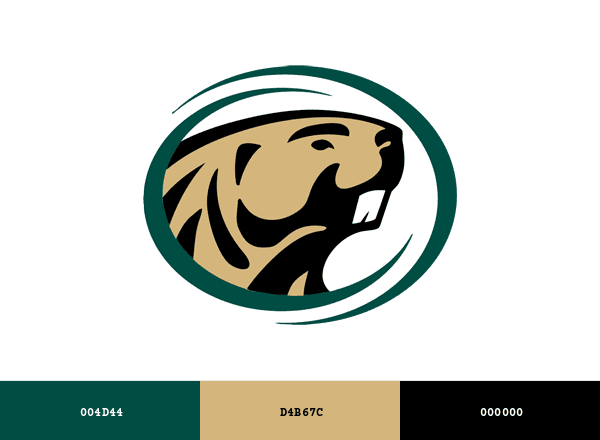 BSU Beavers brand color palette