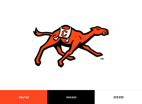 Campbell Fighting Camels brand color palette