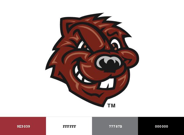 CCNY Beavers brand color palette