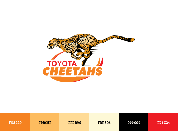 Cheetahs brand color palette