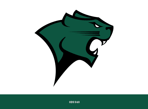 Chicago State Cougars brand color palette