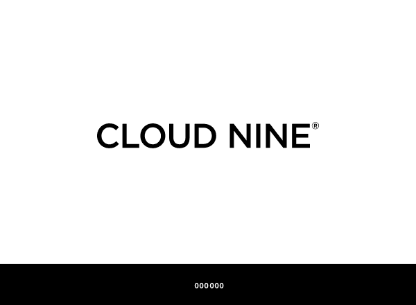 Cloud Nine brand color palette