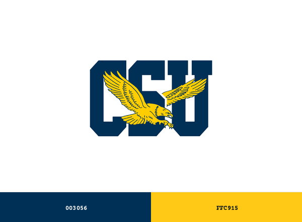 Coppin Eagles brand color palette