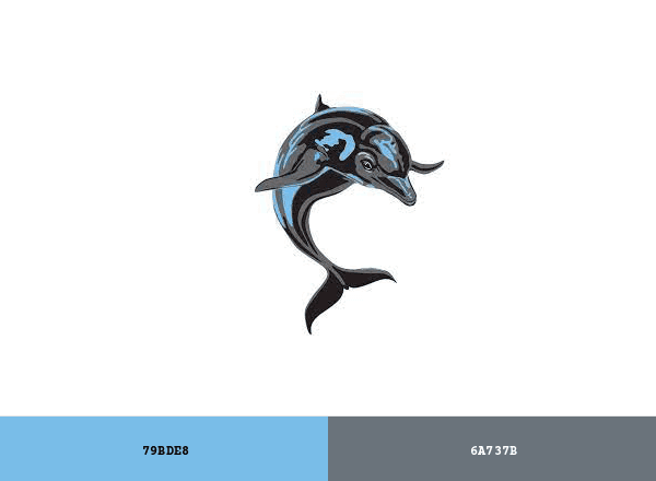 CSI Dolphins brand color palette